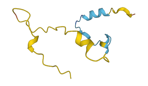 CAMK2N1 3D structure