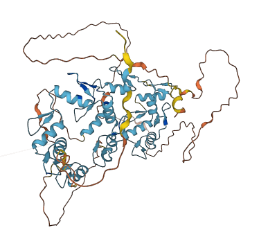 ZNF467 3D structure