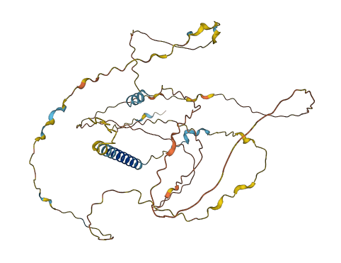 C11orf96 3D structure