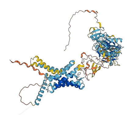 ADGRD2 3D structure