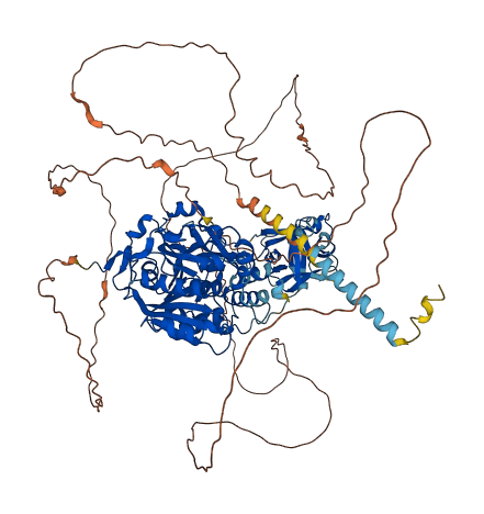 GALNT5 3D structure