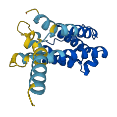 Ifna13 3D structure