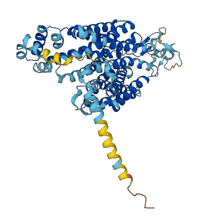 Slc22a20 3D structure