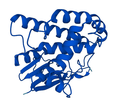 Gstm7 3D structure