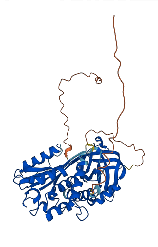 Serpina3f 3D structure