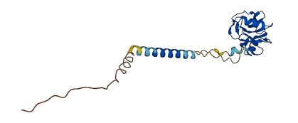 Clec2e 3D structure