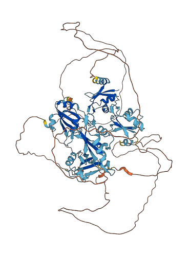 Rbm12b1 3D structure
