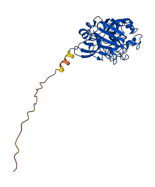 Itln1b 3D structure