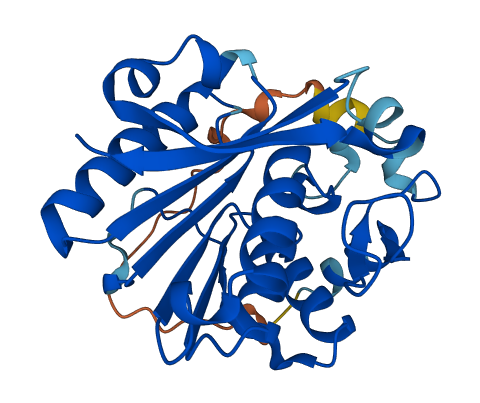 Mettl20 3D structure