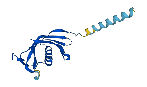 Cst13 3D structure