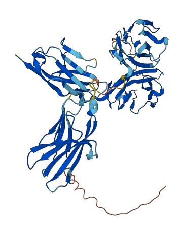 Psg22 3D structure