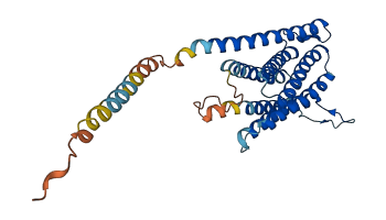 Teddm1a 3D structure