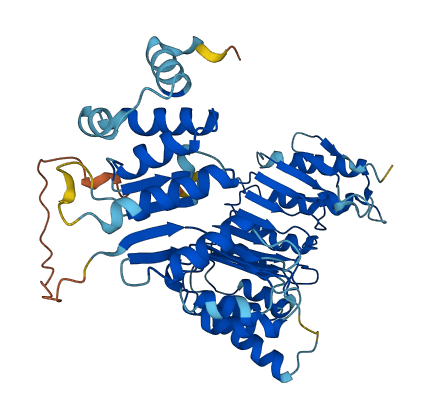 Pramel7 3D structure