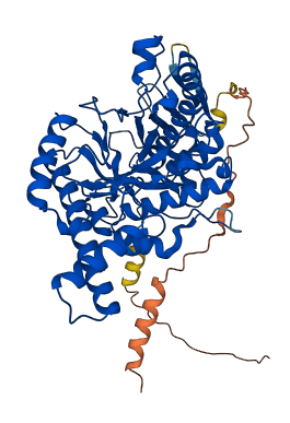 Hyal5 3D structure