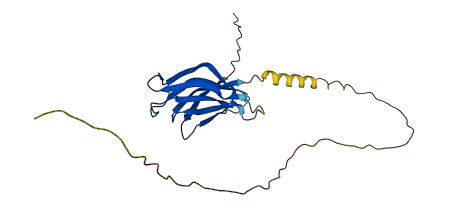 NPM2 3D structure