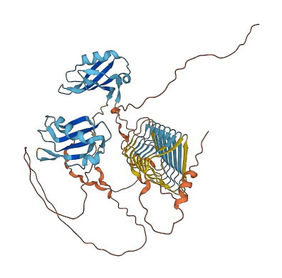 DAZ4 3D structure