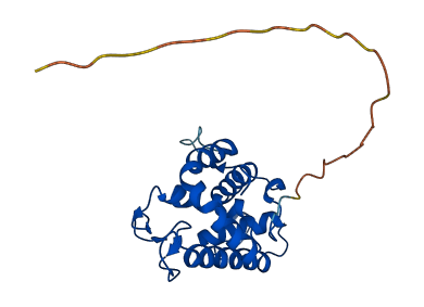 LYG2 3D structure