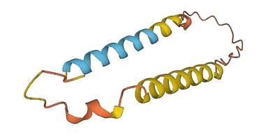 PRNT 3D structure