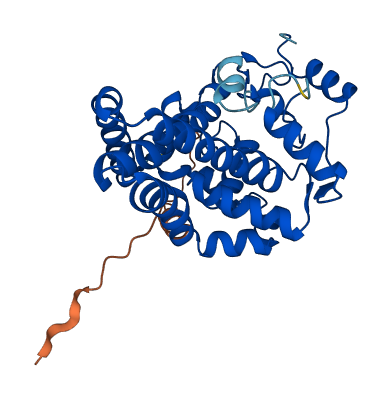 SCD5 3D structure