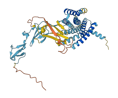 ADGRE4P 3D structure