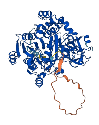 GALNT10 3D structure