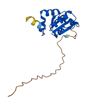 GLRX5 3D structure