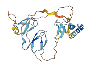 PIP4P1 3D structure