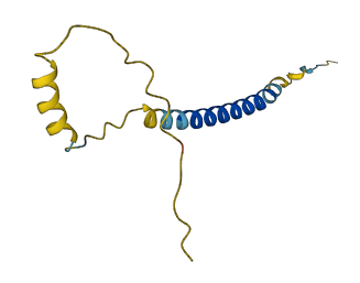 SMIM29 3D structure