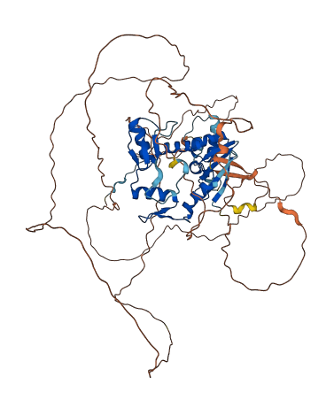 ZBTB33 3D structure