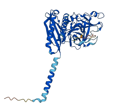 TMPRSS11B 3D structure