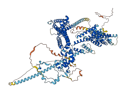 DAAM2 3D structure