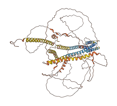 NBPF11 3D structure