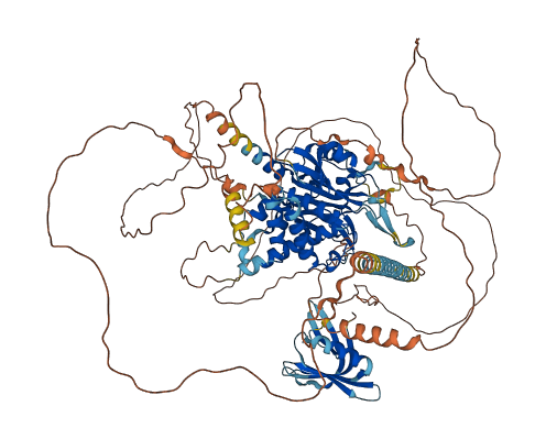 USP37 3D structure