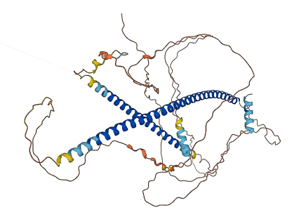 KIAA1328 3D structure