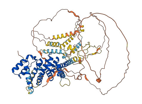 PATL1 3D structure