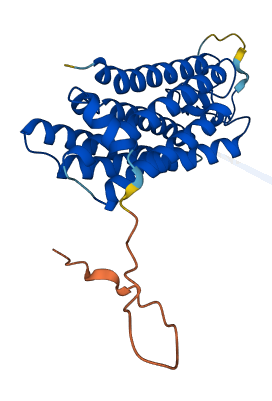 TMEM150A 3D structure