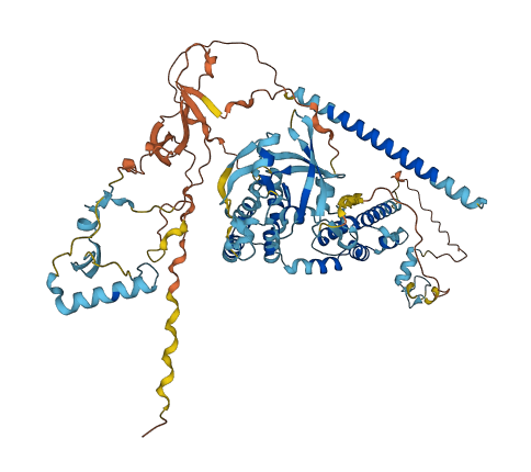 PEG10 3D structure