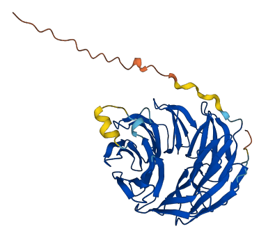 WDR86 3D structure