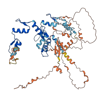 ZNF554 3D structure