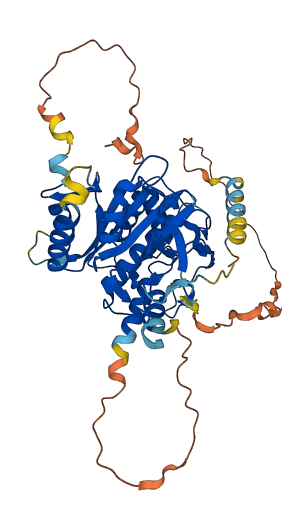 ATG4D 3D structure