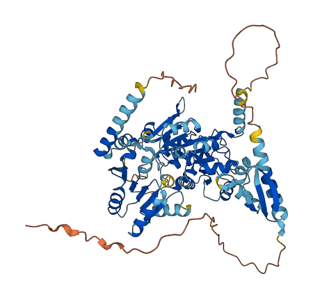 DDX53 3D structure