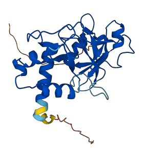 TRPT1 3D structure