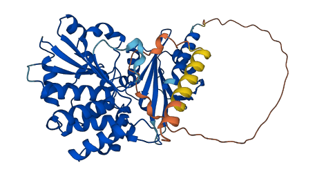 PRUNE1 3D structure