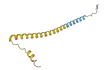 LINC00523 3D structure