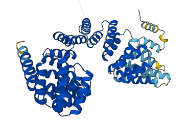 TTC6 3D structure