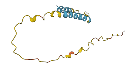 LINC00596 3D structure