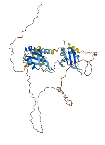 RBM23 3D structure