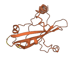LINC01551 3D structure