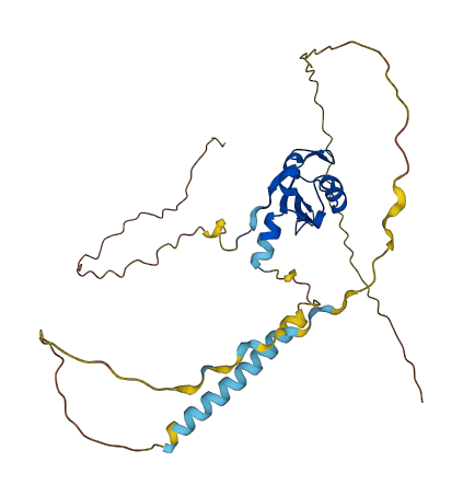PABPN1 3D structure