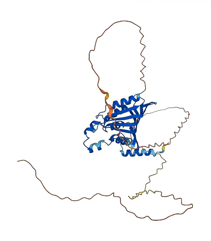 LDB1 3D structure